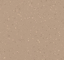 Линолеум Polyflor Polysafe Verona Pur 5213 Caramel Latte фото 1 | FLOORDEALER